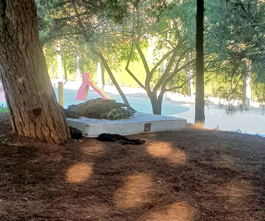 MontigalaViu's tweet photo. Aquest és l'aspecte avui del Parc de les Muntanyetes i el jardí d'Olof Palme de #Badalona. Un campament de sense sostre, als quals @AjBadalona hauria de buscar una alternativa. Un exemple més dels problemes de #Montigalà cc @bdncom @Totbadalona https://t.co/GuQH8mz191