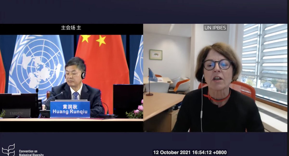 Post-2020 Biodiversity Framework . EU Support tweet media