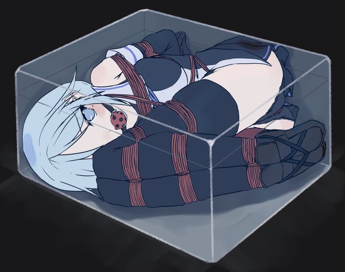 φ(.. )クリア箱詰め 