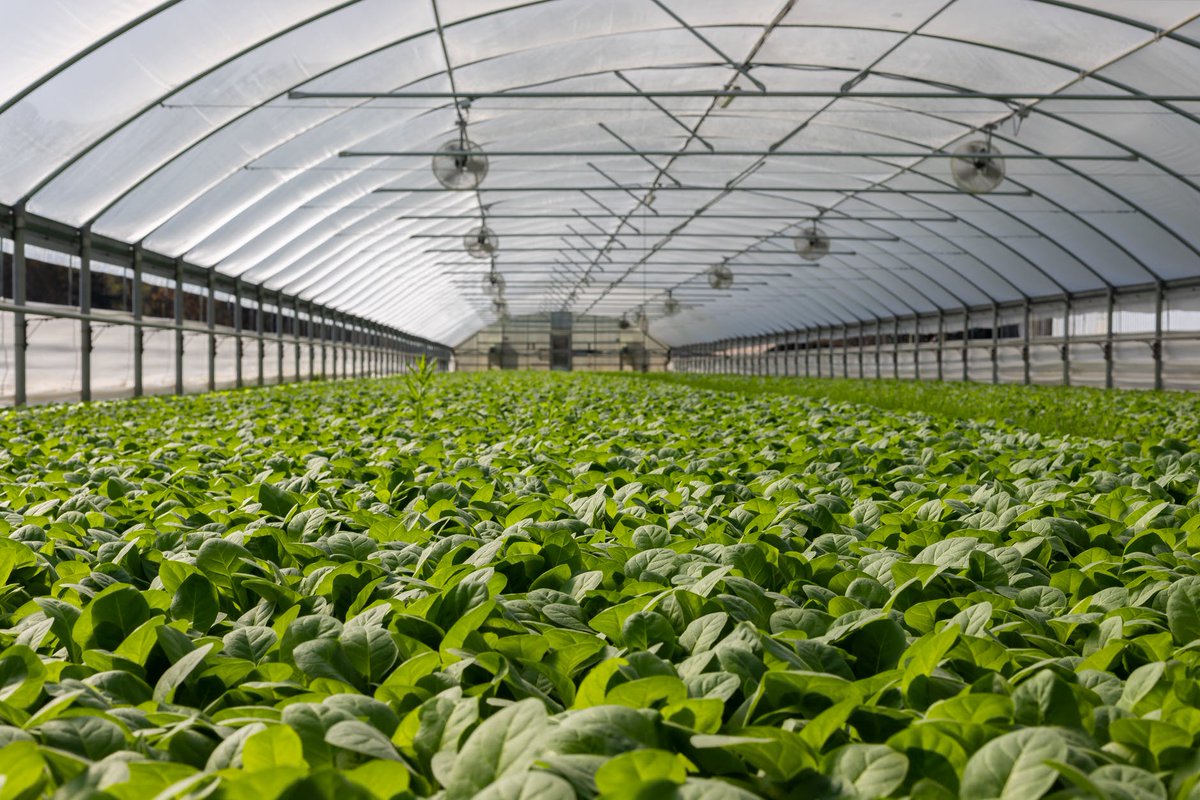 Aquaphor_UK's tweet photo. Plants and #flowers need water to live - obviously! Greenhouses such as #Shefer in Kfar Bialik need bigger, more complex solutions for their greenery - and Aquaphor is here to help. https://t.co/0k9zxBrA0p #waterforlife https://t.co/cuYFcN6RqS