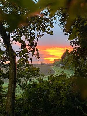 Decorque Cards tweet media