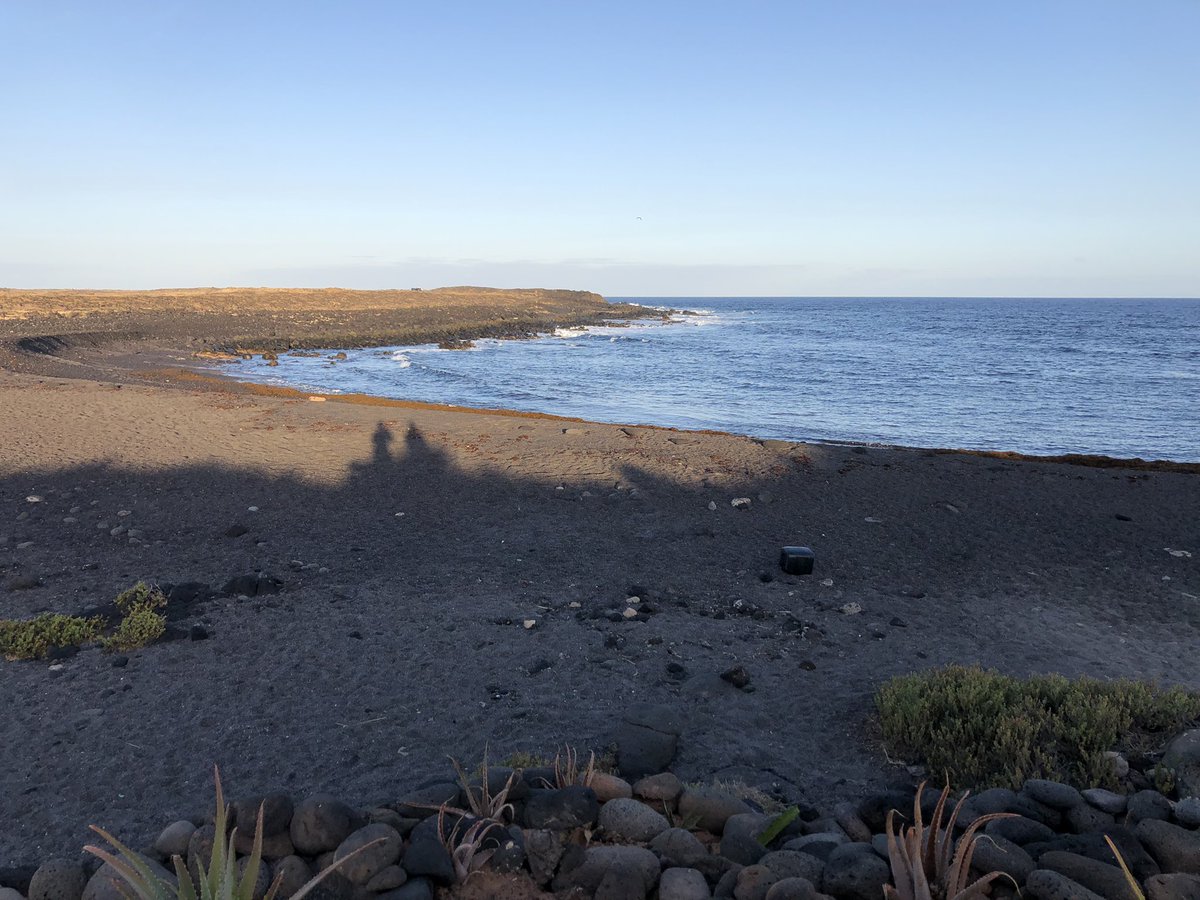 CoachRoseJones's tweet photo. Two souls become one #MentalHealthAwareness @clublasanta @tricoachwales https://t.co/HHvB0XCB4e