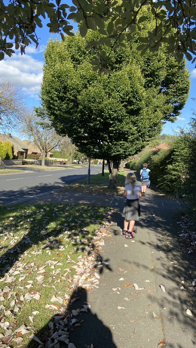 SchoolWoodfield's tweet photo. Thank you to everyone who took the opportunity to walk, bike or scoot to school, or park and stride for @ZeroCHarrogate's Walk to School Day last week. https://t.co/QVhlVBRxKY