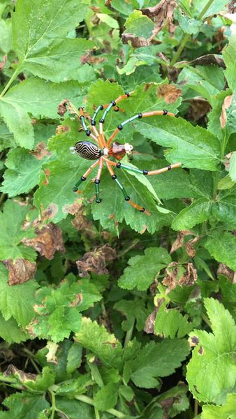 Armed Forces Community Hub Hull tweet media