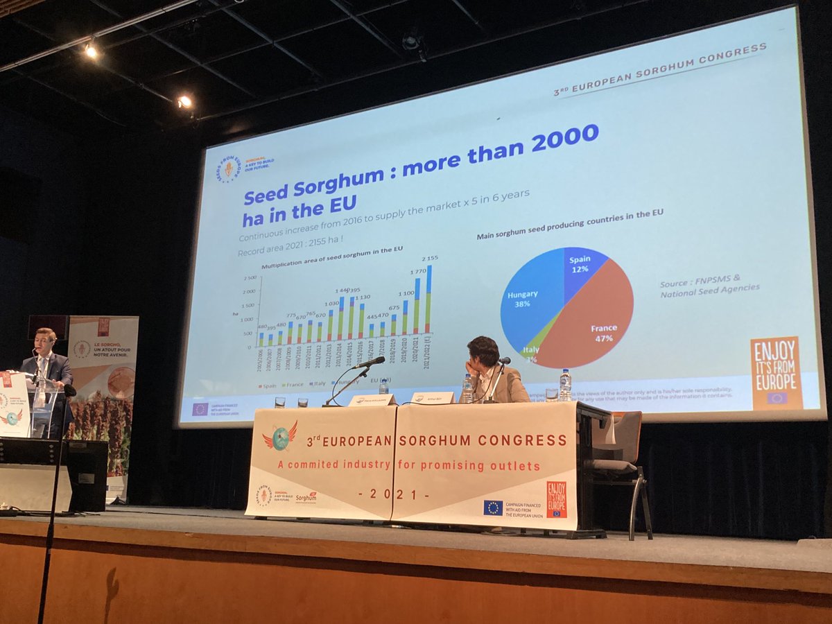 ⁦<a href="/sorghum_id/">Sorghum ID</a>⁩ - France - Hongrie - Espagne, voici le classement dans l’ordre des pays producteurs de semences de Sorgho en Europe avec 47% d’origine France #filière d’excellence  ⁦<a href="/semae_officiel/">semae</a>⁩ #fnpsms #ragt #lidea #semencesdeprovence