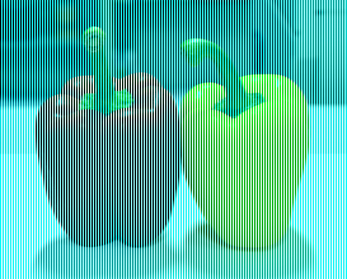 Akiyoshi Kitaoka tweet media