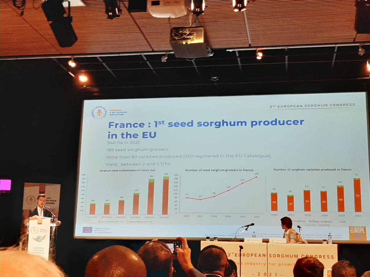 semae_officiel's tweet photo. #sorghumcongress 
"2021: record de production de #semences en Europe
📌La France🇫🇷:
👍assure à elle seule 47 %
👍1er producteur de semences de #sorgho🇪🇺 
👍940 ha multipliés
👍189 producteurs
👍et 1er exportateur de semences 
Un marché en progression↗️"
Pierre Guillaumin #FNPSMS https://t.co/hNh6HpnbWS