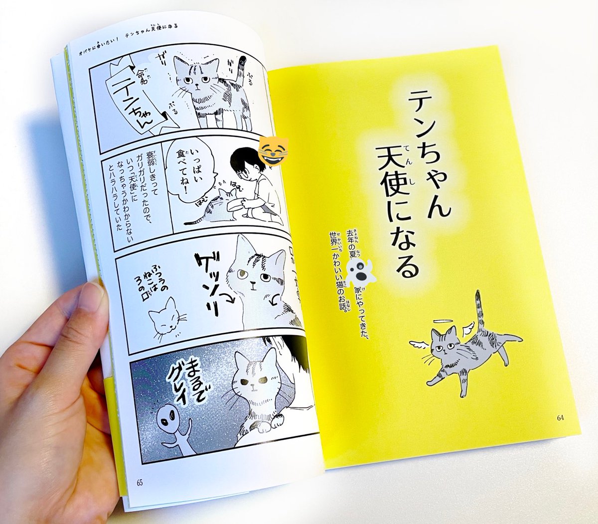 授業でこんな本を作りました👻

オバケに会いたい!-2021,Ruuwanmm 