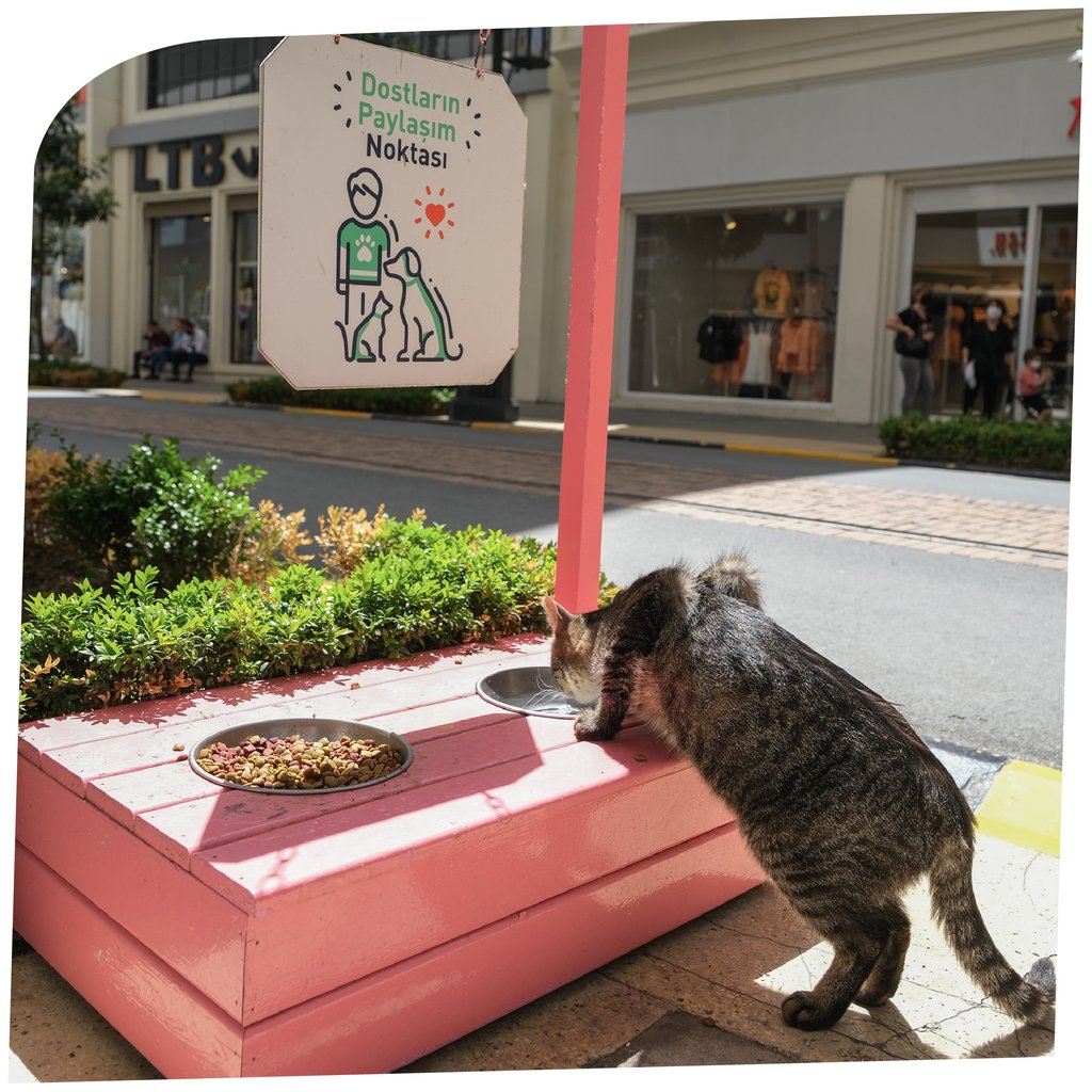 Terli terli su içme, hasta olacaksın dedik ama hiç dinler mi? Neyse ki mamasını düzenli yiyor içimiz rahat! 😍

#İsfanbulAlışverişCaddeleri