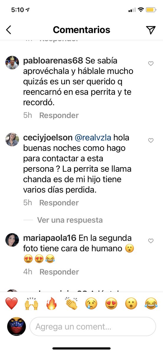tatydaniels's tweet photo. @rubendfer @MaryoriDaniela Hola Sr. Ruben. Acabo de leer en Instagram que la mamá del dueño de esta perrita está tratando de contactarlo y no ha podido. Le dejo el capture para ver si usted puede ubicarla. Espero que aún la tenga o pueda decirle quien la tiene🙏🏻 https://t.co/Mc4md95s1J