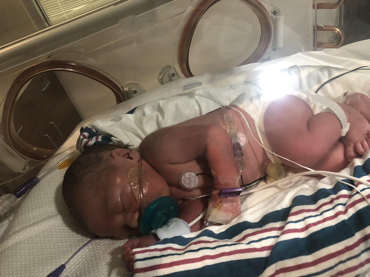 MadisonJenkins6's tweet photo. Proof that love before first sight does exist. 💛 https://t.co/BbFT2MKrcx