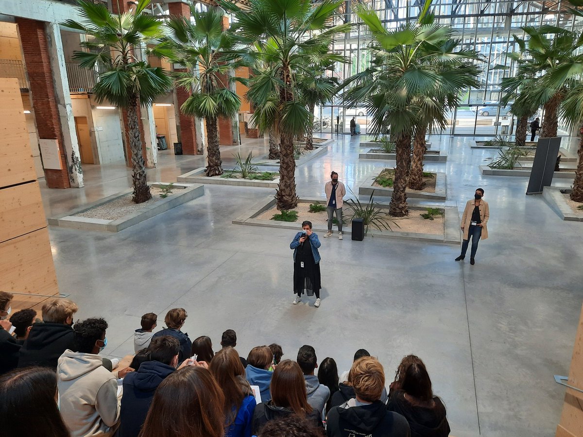 Delphine Litchman tweet media