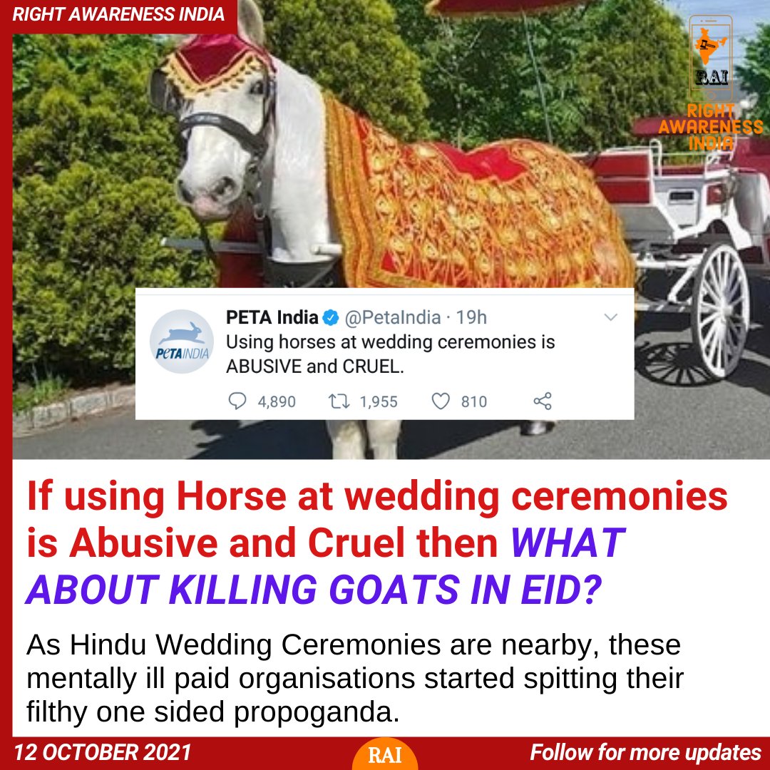 Apki_RAI's tweet photo. You are disgrace to your name.

@PetaIndia #petaindia https://t.co/ePwicBdaBl