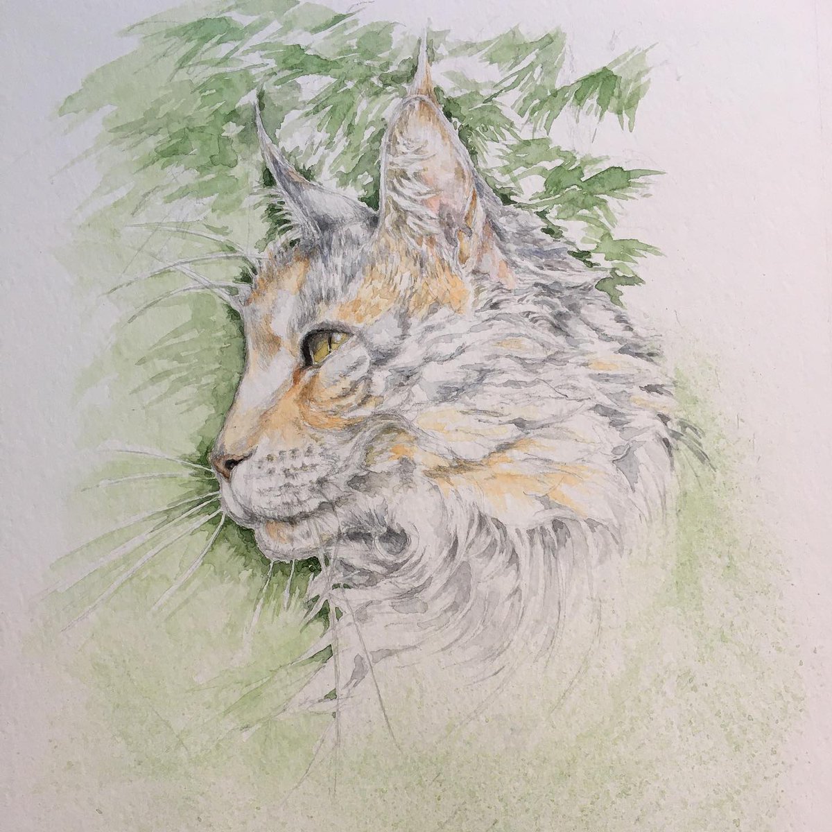 🎨 ART &amp; CRAFT SHOUTOUT 🎨

Pippa Crowter is a Worthing-based artist, working in watercolour and pencil with a focus on flora and fauna. 

Check out her interview from earlier this year:
worthingandbeyond.co.uk/2021/05/13/fea…