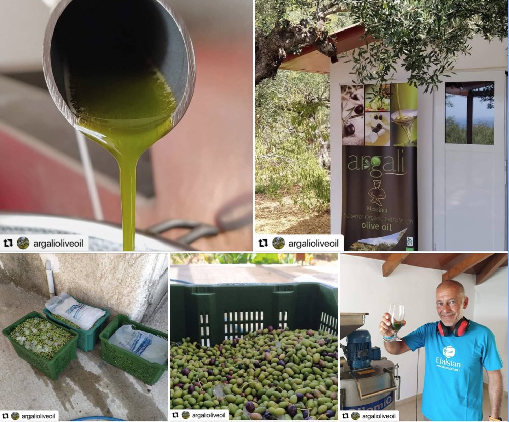 Early harvest season has begun! This #organic #extravirginoliveoil exhibits wonderful aromas of fresh #olive fruit. The flavour is rich, strong &amp; determined. With high concentration in polyphenols &amp; oleic acid. @ArgaliOliveOil is available to buy at isleofolive.co.uk