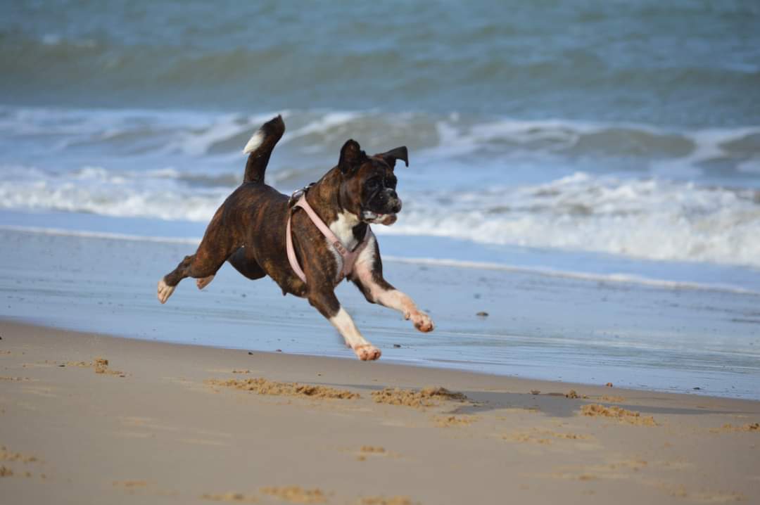 Peggy just loves to fly 💯😘🤣🤣