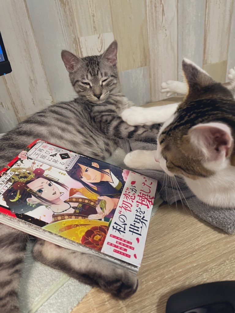 遅くなりましたが本日、1巻発売です!
1話のRTイイネたくさんありがとうございます😊
どうぞよろしくお願いします! 