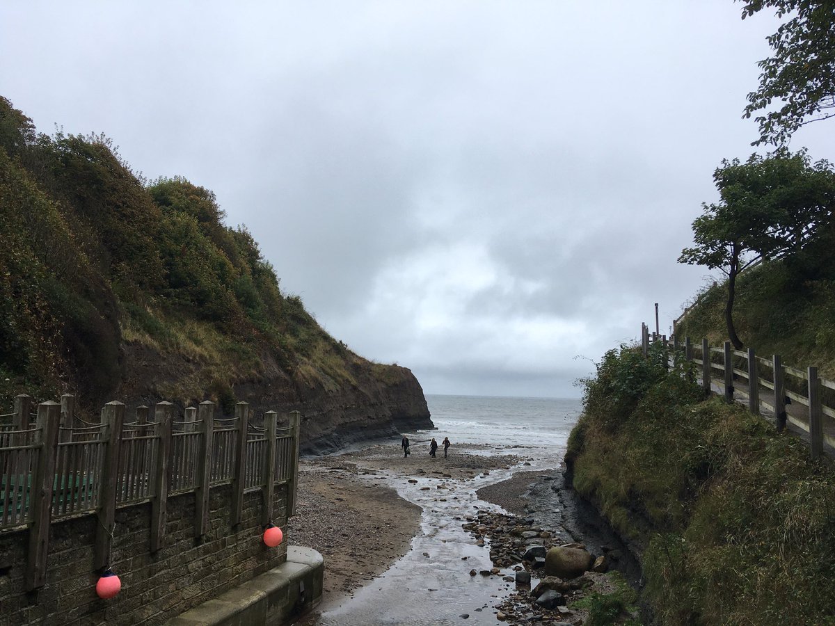 know research tweet media