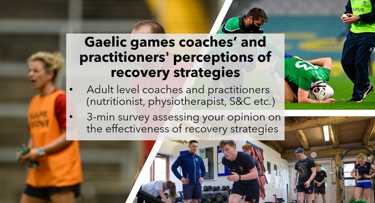 Lorcan Daly tweet media