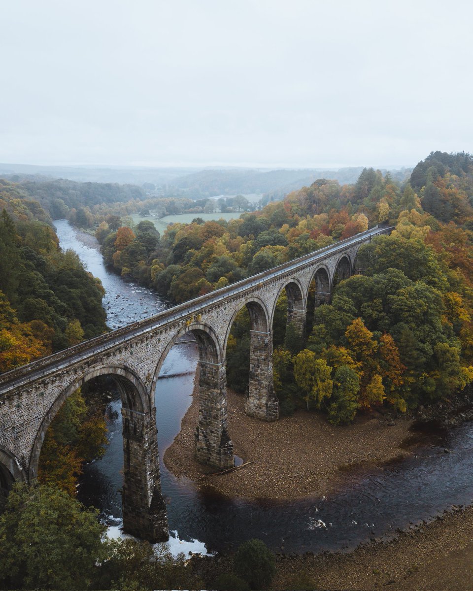 GM! Autumn has definitely arrived in the UK, here's my favourite shot from last year 🍂