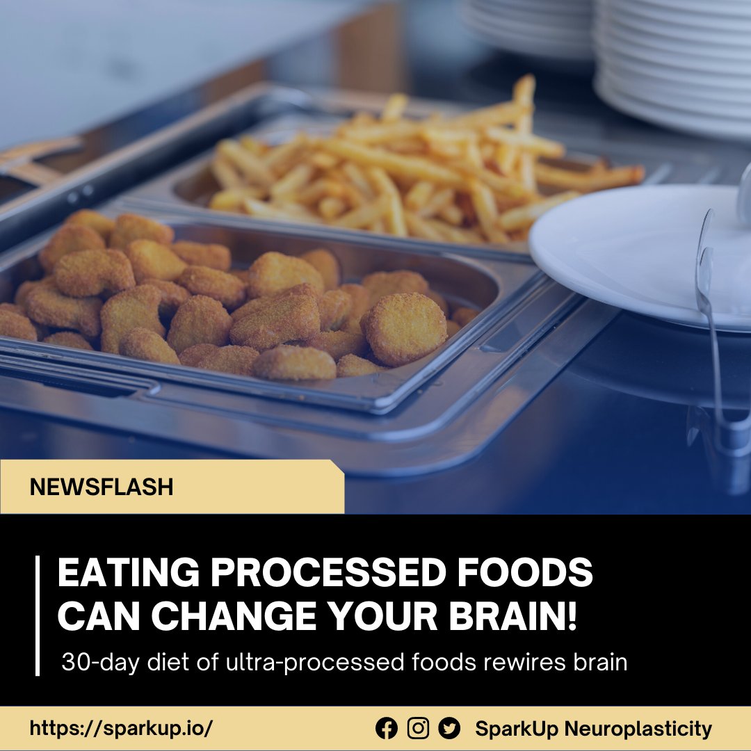 SparkUpNeuroplasticity tweet media