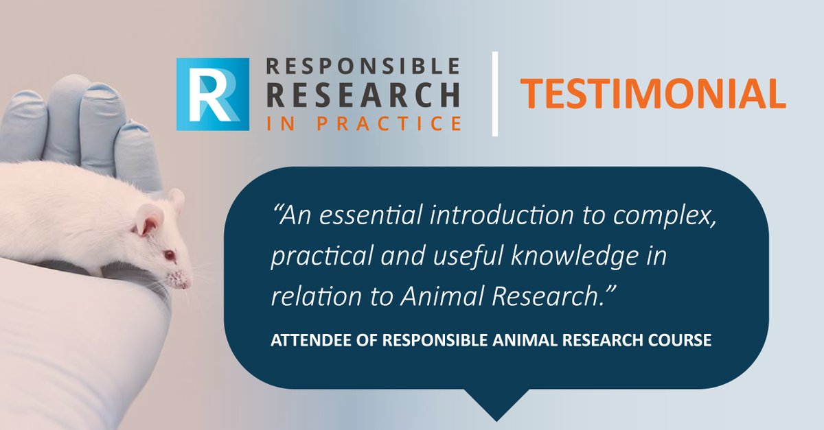 Nikki Responsiblear Twitter