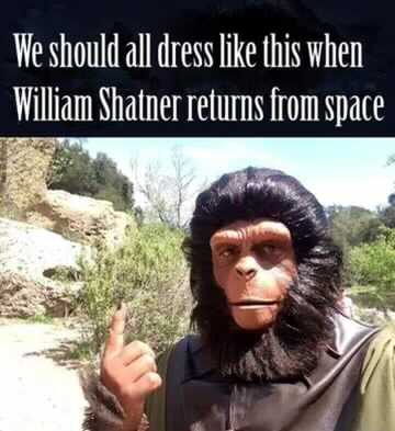 bradmeltzer's tweet photo. Whoever made this, we are friends.

Also, it’s a really good idea. 

Thanks ⁦@origamibug⁩ https://t.co/ArvD399Bvq