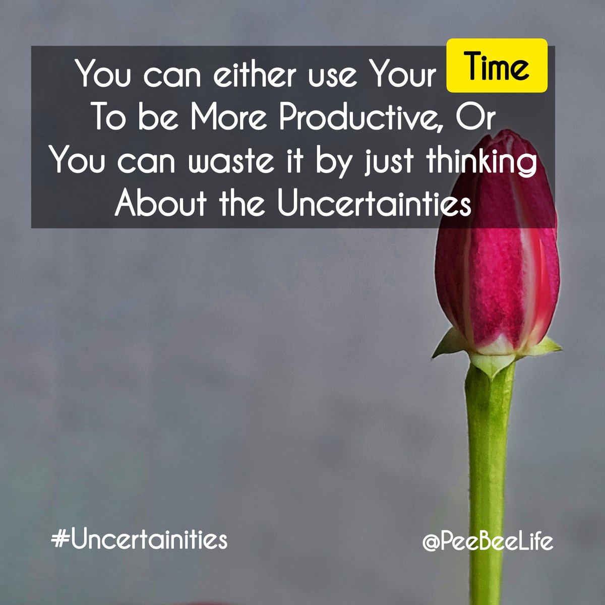 LifePeebee's tweet photo. You can either use Your Time
To be More Productive, Or
You can waste it by just thinking
About the Uncertainties
.
.
#uncertainty #uncertaintimes #uncertainfuture #futureplans #futuregoals #futuresuccess #future #targets #targetstyle #goalsthatmatter #goalachiever #goaloriented https://t.co/IwX06LXZ1t