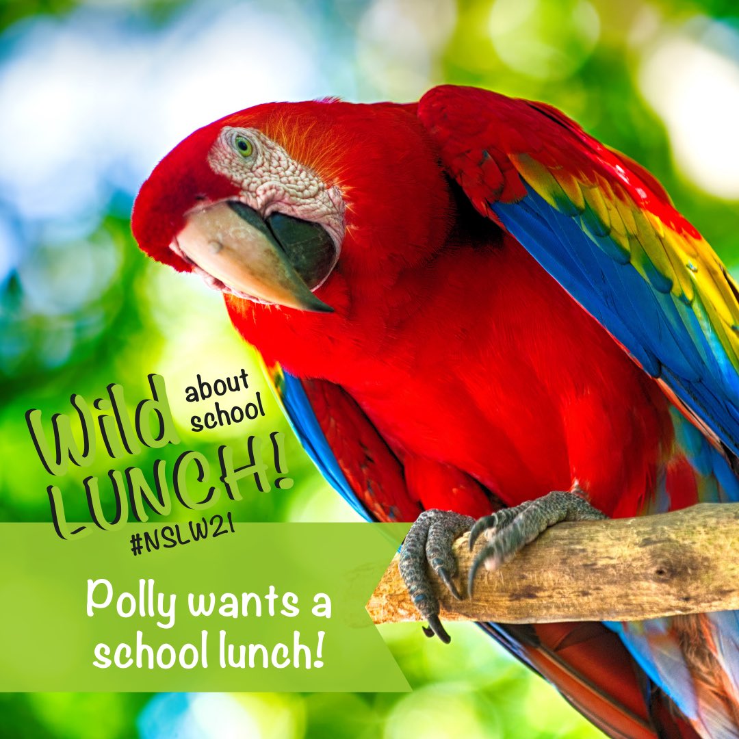 Selena Ferguson tweet media