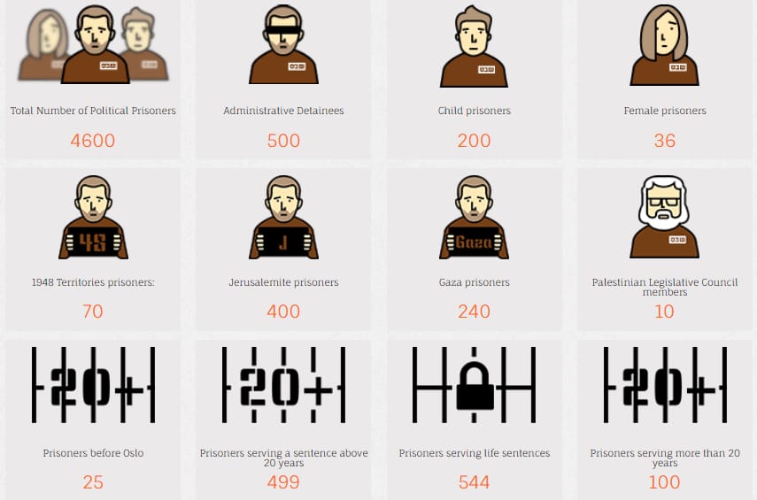 Palestine Responds tweet media
