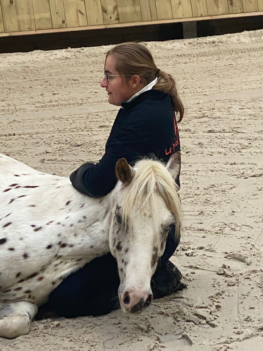 FondationAF's tweet photo. L'association «Le Pied à l’Etrier », partenaire de la Fondation Air France, a inauguré le 1er centre d’équitation adaptée et d’équithérapie de la région Ile-de-France dans la ville de Fosses, Val-d’Oise. 
#FONDATIONAF https://t.co/QHdkUgTPzP