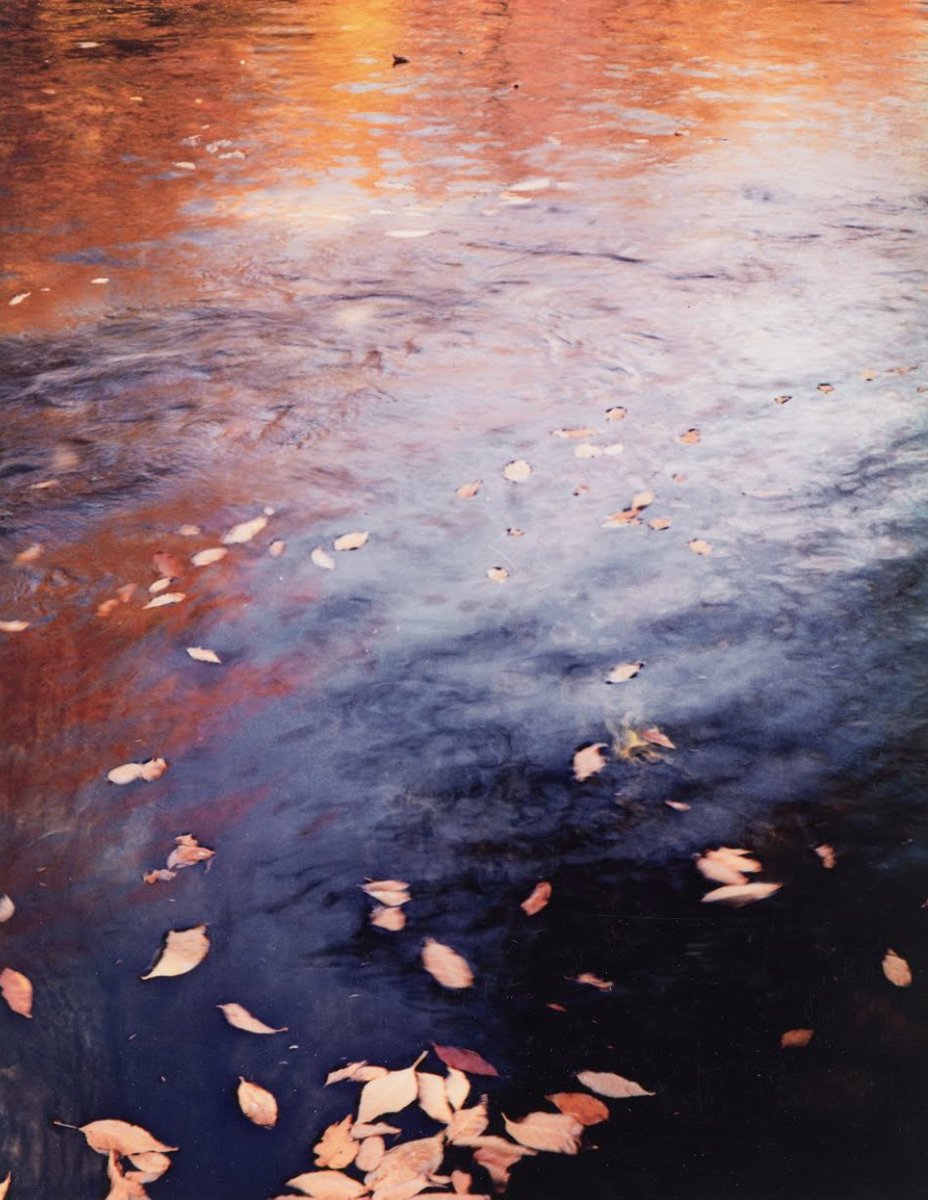 Good morning ☀️ Is this a 🎨 or 📸?

<a href="/theamoncarter/">Amon Carter Museum</a>