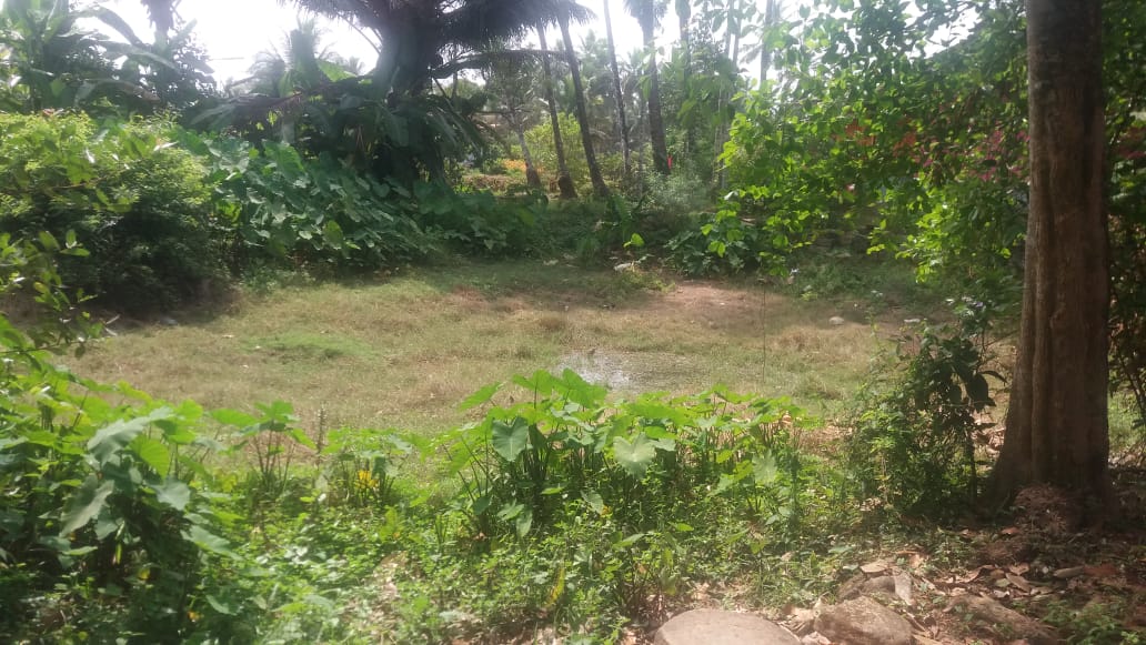 ಉಡುಪಿ ಜಿಲ್ಲೆಯ ಕಾಪು ತಾಲೂಕಿನ ಬೆಳ್ಳೆ ಗ್ರಾಮ ಪಂಚಾಯತ್ ನಲ್ಲಿ ಈ ಬಾರಿ ಕೆರೆ ಹೂಳೆತ್ತುವ ಕಾಮಗಾರಿ ಯಶಸ್ವಿಯಾಗಿದ್ದು ಕಾಮಗಾರಿಯ ಮೊದಲ, ಹೂಳೆತ್ತುವ ಹಂತದ ಹಾಗೂ ನಂತರದ ಚಿತ್ರಗಳು. #NREGA <a href="/ZPUdupi/">Udupi Zilla Panchayat</a>