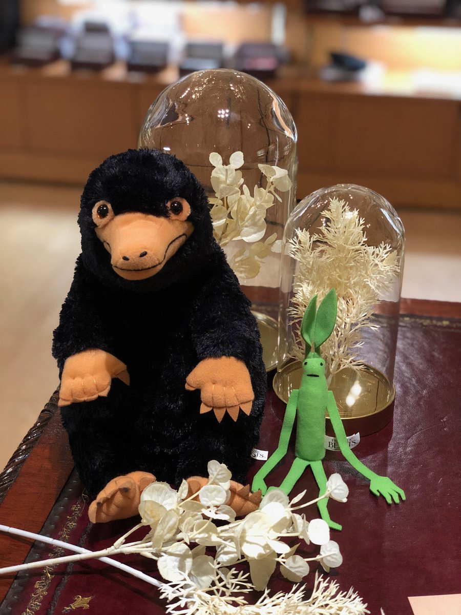 ハリー・ポッターと魔法の歴史展 ショップでは、 ふわふわな毛並みの