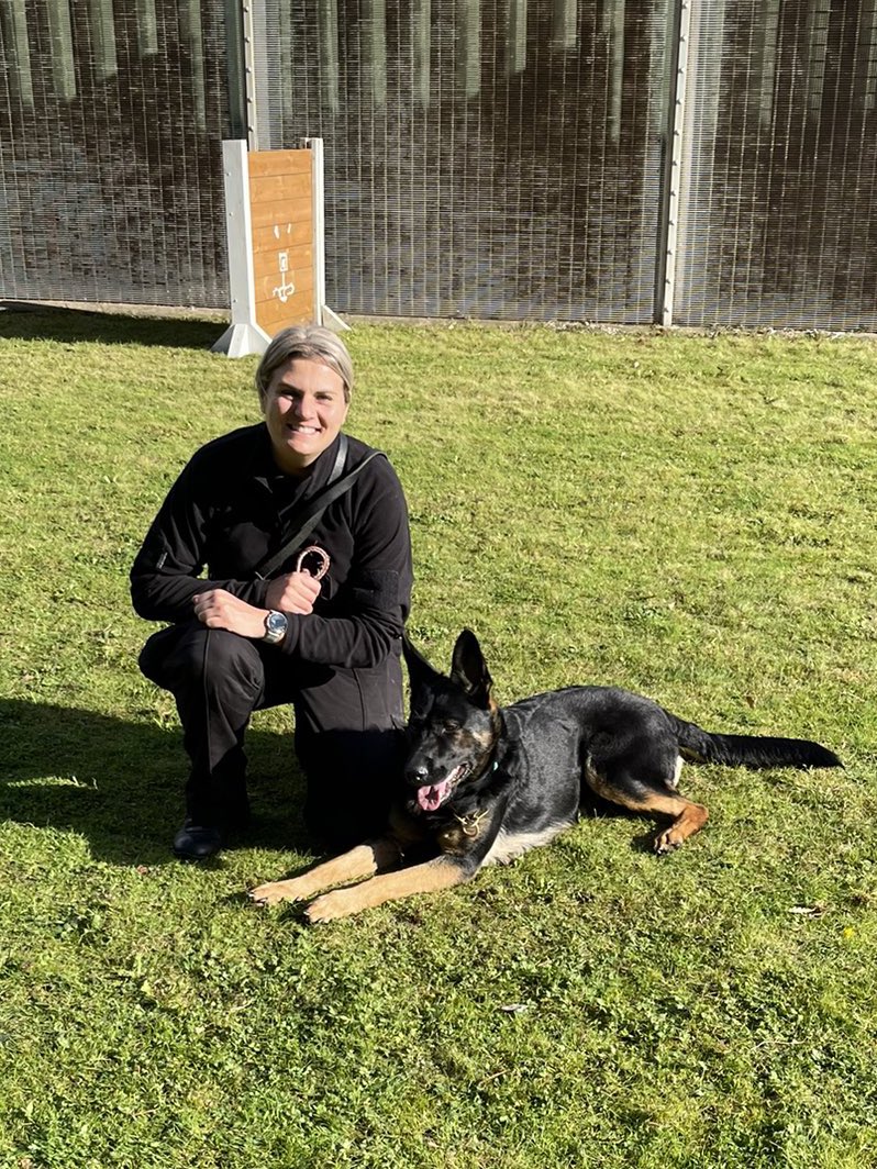 DogsHmpps's tweet image. So unfortunately Rae decided that HMPPS was not for her and she has been returned the the supplier as a pet. Best wishes Rae.
Meet Ruby who is now starting on her new venture. #PrisonDogs #WorkingDogs #K9 #OperationalDogs