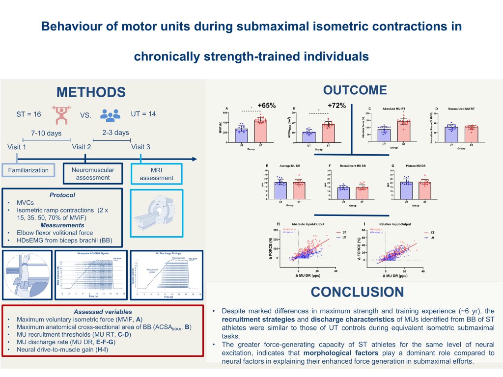👉 Check out our latest research article on the behaviour of motor units during submaximal isometric contractions in chronically strength-trained individuals

Great great teamwork! 
🇮🇹🇬🇧🇯🇵🇧🇷🇩🇪

In press on <a href="/japplphysiol/">Journal of Applied Physiology</a> 

🔗journals.physiology.org/doi/abs/10.115…

#MotorUnit #ResistanceTraining
