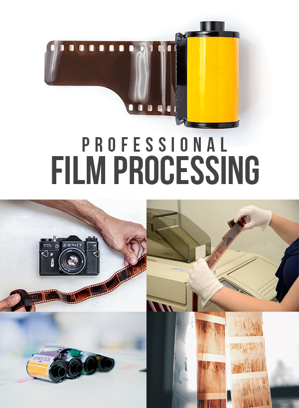 SpartanPhoto's tweet photo. We Process film!
All kinds of 35mm or 120 sizes in C41, E6, B/W processes and we scan, print enlarge and archive. #filmsnotdead #LastCameraStoreSC #35mmfilm #120film https://t.co/kmlDp2UnAV https://t.co/tltG1TZzVO