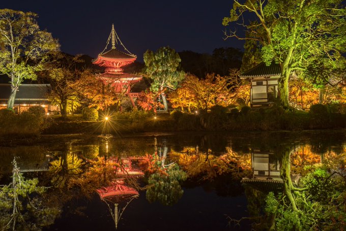 大覚寺の紅葉23年の見頃時期とライトアップ期間は