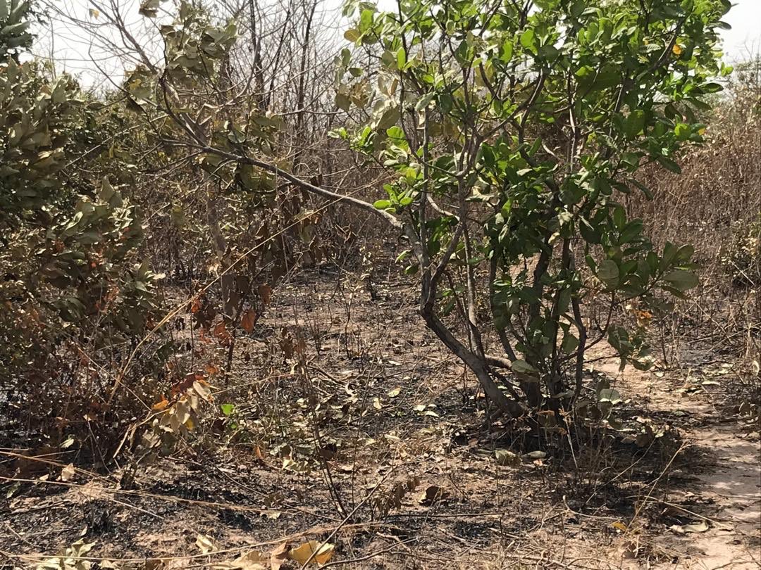 ST Foundation tweet media