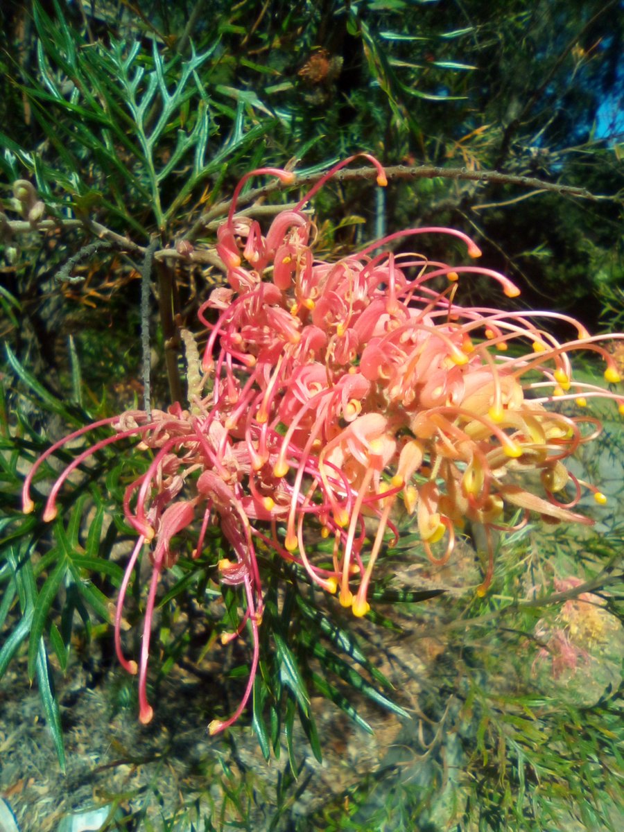 Art By Jonathan (@jonatha05532126) on Twitter photo 