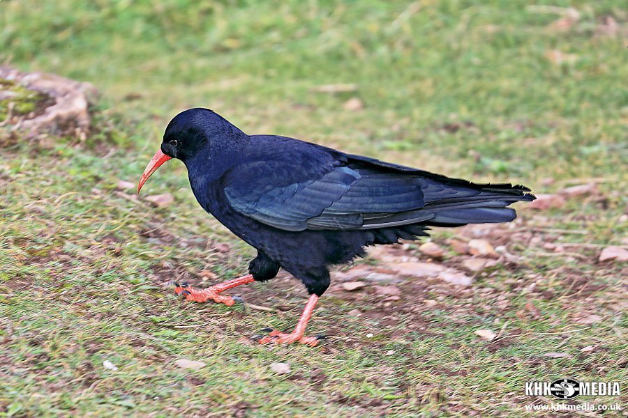 Andrew Trenoweth tweet media