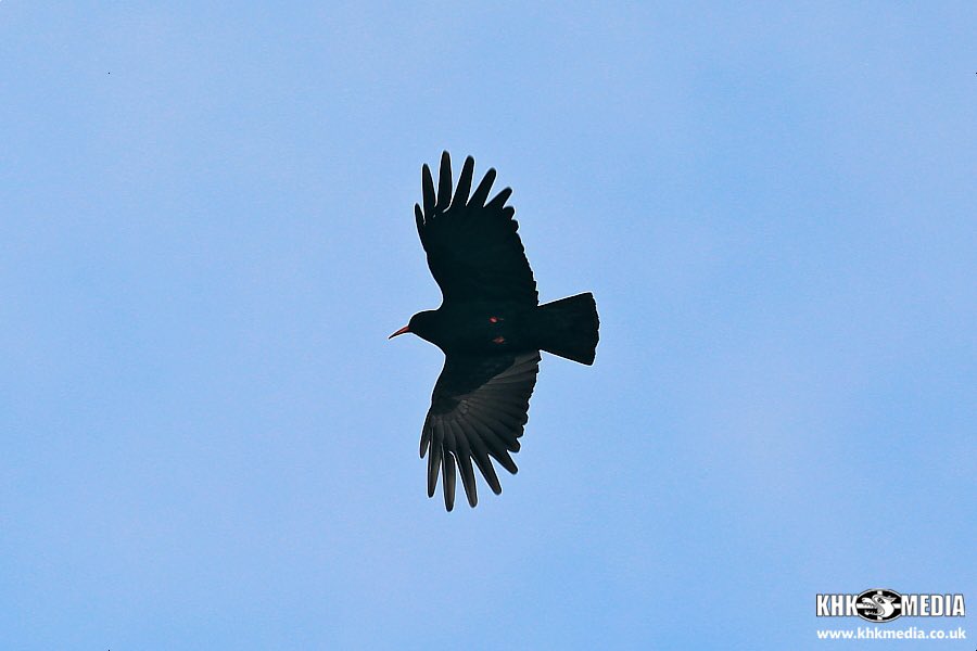 Andrew Trenoweth tweet media