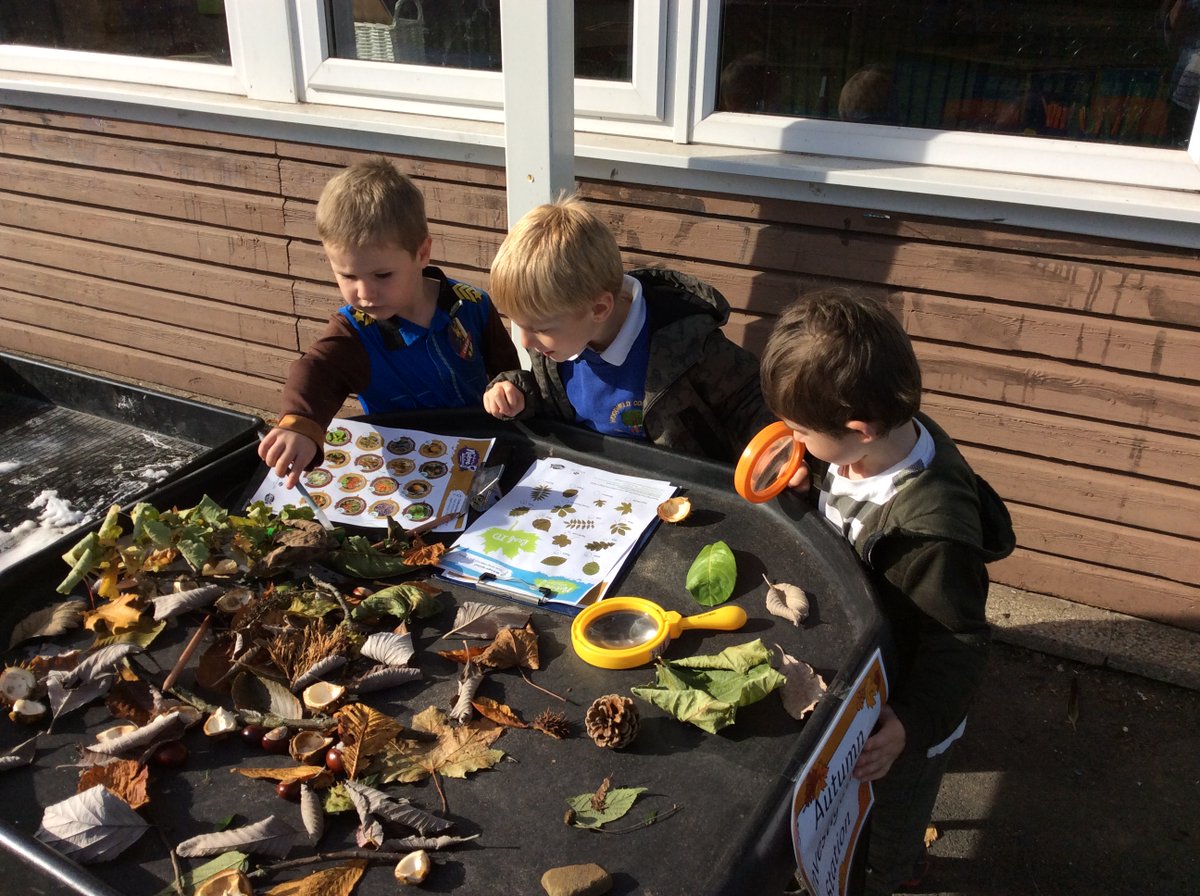 SchoolWoodfield's tweet photo. We have been putting the #autumn treasures to good use in our classroom - we have our #phonics conkers, leaf rubbings with play dough, finger painting, conker painting, counting with conkers and exploration stations! #eyfs #activelearning #primaryschool #Harrogate https://t.co/xZIiS4MTIq