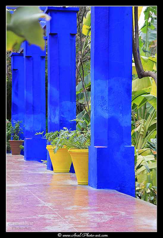 Axel L.P. photo art tweet media