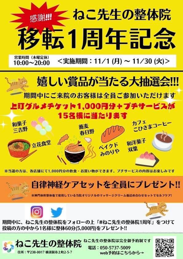 ねこ先生の整体院 Nekosensei39 Twitter