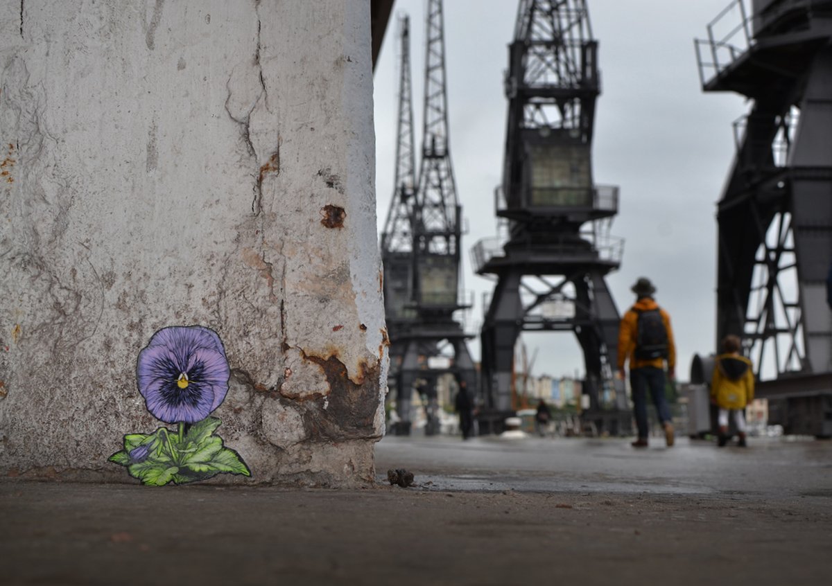 “For the Unheard”. <a href="/mshedbristol/">M Shed</a>, Princes Wharf, Bristol. <a href="/bristolmuseums/">Bristol Museums</a> A Pansy Paste-up installed to memorialise the unheard and unreported stories of homophobia. #SDG5 #outstoriesbristol #toward2030 curated by <a href="/CharlottePyatt/">Charlotte Pyatt</a>