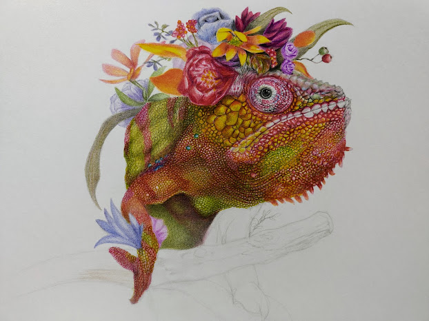 カメレオンのtwitterイラスト作品