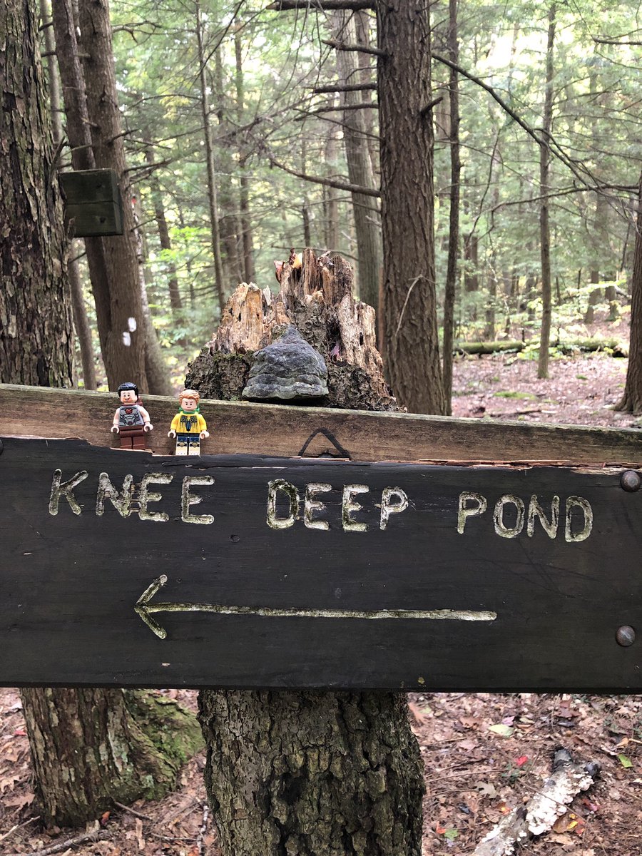 kevrothman's tweet photo. Long weekend in beautiful Massachusetts on the AT. @LEGO_Group @LEGOIdeas #AppalachianTrail #sectionhiking #AutumnFalls https://t.co/gyWh9IowmD