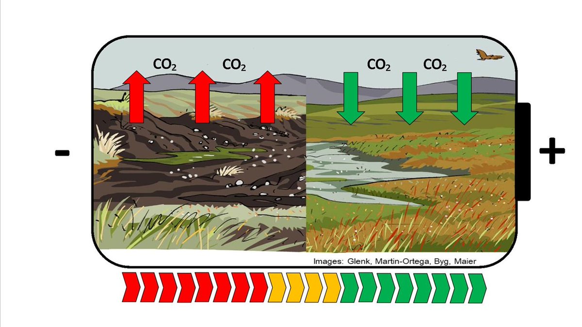 PeatlandACTION's tweet image. Lets be #PeatlandPositive

Healthy and restored peatlands have multiple benefits for people and nature:

💚 Naturally capture carbon
🍄Home to rare plants &amp;amp; animals
🌄 Iconic Scottish landscapes
💙 Natural defence against wildfire

#COP15 #NaturePositive 
📷@wateratleeds