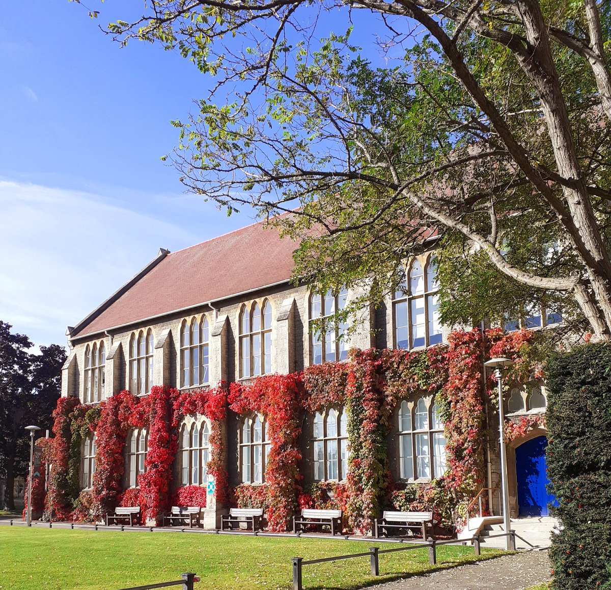 Our campus is looking very autumnal today!